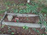 image of grave number 500663